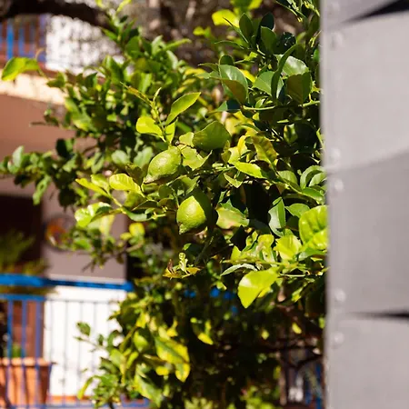 Solemar Sicilia - Mariù Villa Palermo