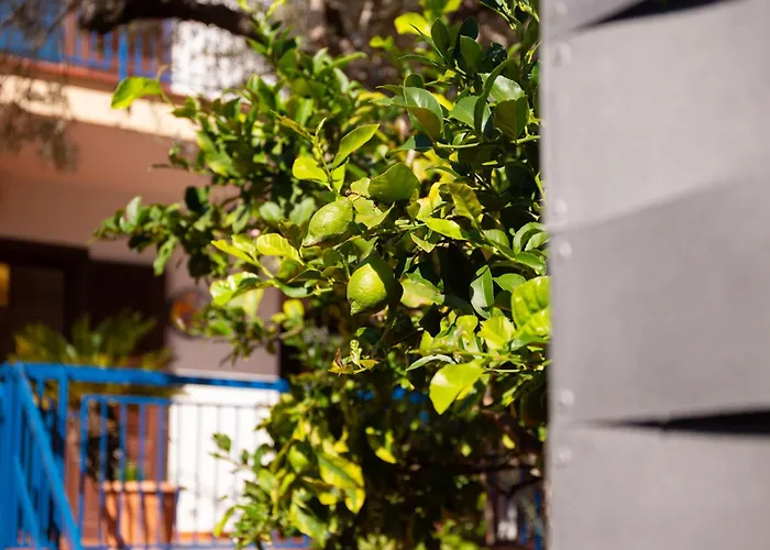 Solemar Sicilia - Mariu Villa Palermo