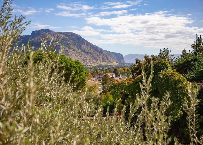 Solemar Sicilia - Mariu